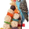 Northern Parrots Willow Wizard Hanging Parrot Toy - Colourful vine and wood toy for Cockatiels, African Greys and Budgies