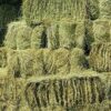 Shorefields Fresh Meadow Hay - Animal Feeding Hay Bale for Rabbits, Guinea Pig, Horses, Hamsters, Ponies - Nutritious Grasses & Wildflowers Blend - Green & Dust Free