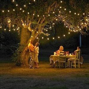12 m Long 100 Solar Powered LED Christmas Light, Colored (Warm White) for The Holiday and Christmas