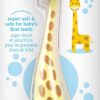 Dr. Brown’s Infant-to-Toddler Training Toothbrush, Giraffe, 0-3 years