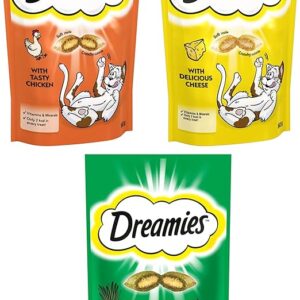 Dreamies Cat Treats Bundle of Tasty Snacks with Scrumptious Chicken, Cheese & Catnip Flavours | Cat Biscuits | Cat Treats for Indoor | Kitten Treats | No Artificial Colours | 60g