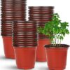 Augshy Plastic Plant Pots, 110 Pcs 4inch Red Plastic Plant Nursery Seed Starting Pots for Succulent Seedling Cutting Transplanting